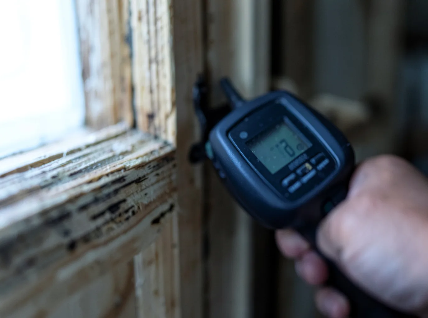 Commercial Water Damage Restoration in Sledge, MS